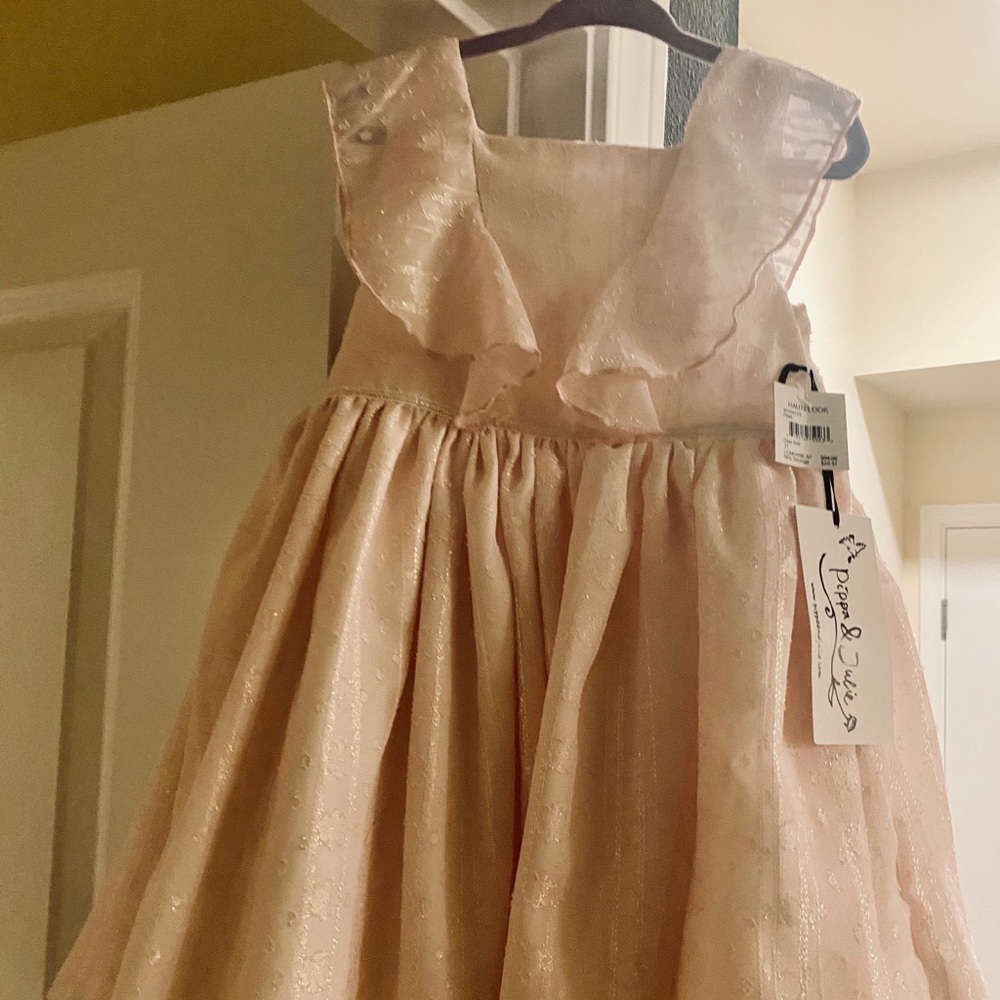3T champagne/pink dress